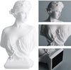 Classic Roman Bust Goddess Venus Resin Artwork Greek Mythology Scandinavian White Home Decor Statue Office Bedroom Bookshelf Dec DECOR MODISH