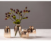 MOONBIFFY Golden Gradient Glass Vase - DECOR MODISH