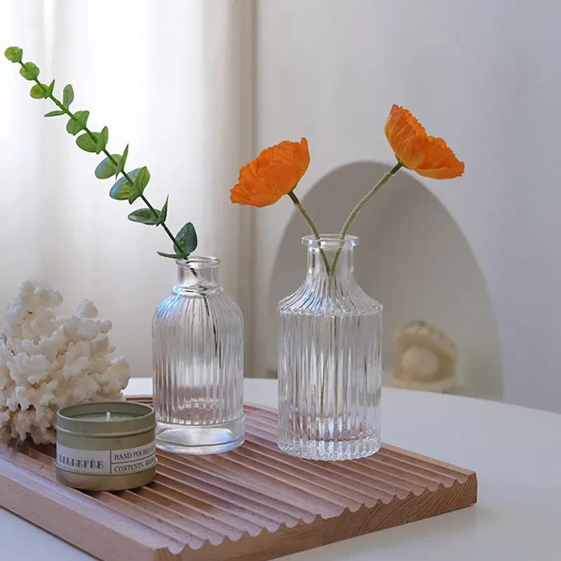 Minimalist Glass Vase Ins Style Creative Vase - DECOR MODISH